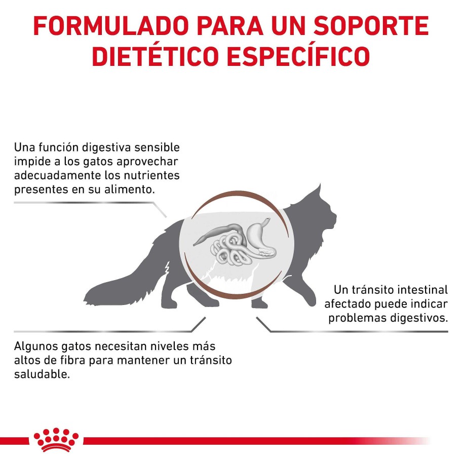 Gatos Royal Canin | Royal Canin Gastrointestinal Fibre Response Alimento Seco Para Gatos