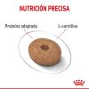 Perros Royal Canin | Royal Canin Mini Light Weight Care Pienso Para El Control De Peso De Perro Adulto De Tama O Peque O