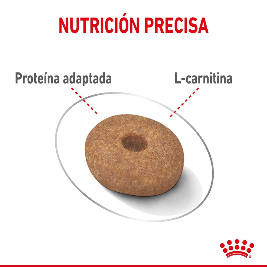 Perros Royal Canin | Royal Canin Mini Light Weight Care Pienso Para El Control De Peso De Perro Adulto De Tama O Peque O