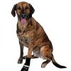 Perros Trixie | Botas Para Perros Walker Care Confort