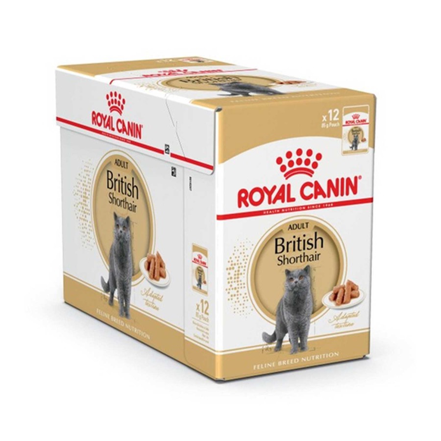 Gatos Royal Canin | Royal Canin British Shorthair Comida H Meda Para Gato Adulto De Raza