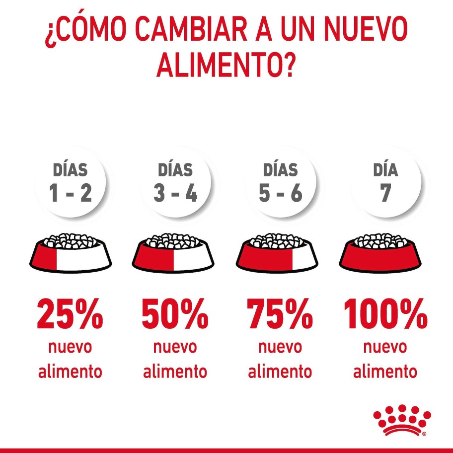 Gatos Royal Canin | Royal Canin Urinary Care Pienso Gato Adulto De Sensibilidad Urinaria