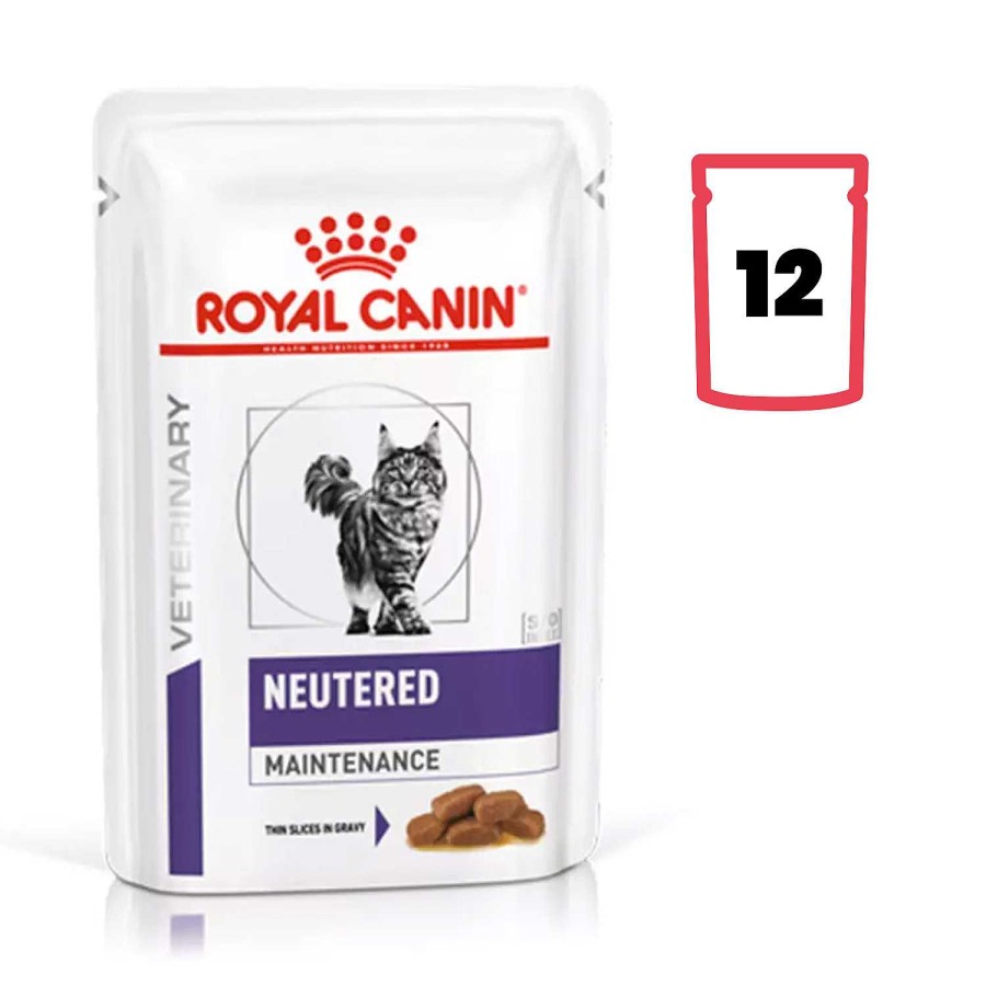 Gatos Royal Canin | Royal Canin Neutered Maintenance Alimento H Medo Para Gatos En Salsa