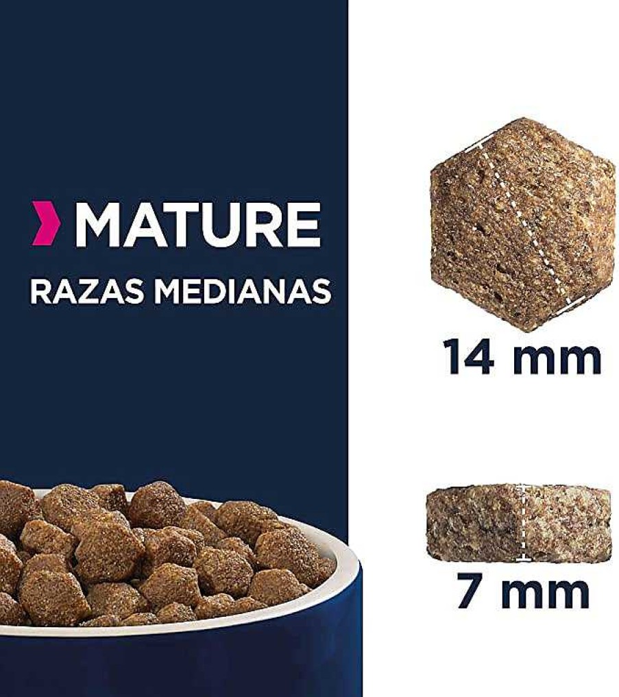 Perros Eukanuba | Eukanuba Alimento Seco Para Perros Mature De Raza Mediana, Rico En Pollo Fresco