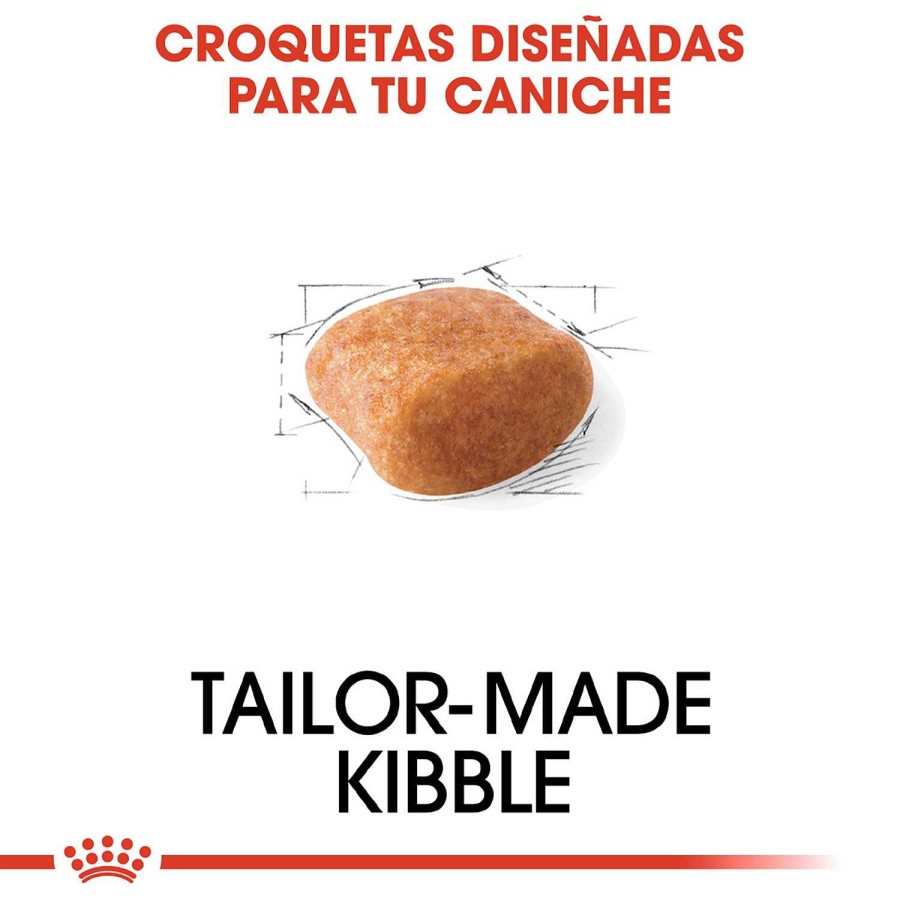 Perros Royal Canin | Royal Canin Poodle Adult Pienso Para Perro Adulto Caniche