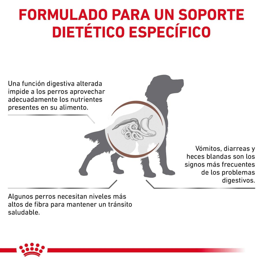 Perros Royal Canin | Royal Canin Gastrointestinal High Fibre Alimento Seco Para Perros