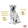 Perros Royal Canin | Royal Canin Labrador Comida H Meda Para Perro Adulto De Raza