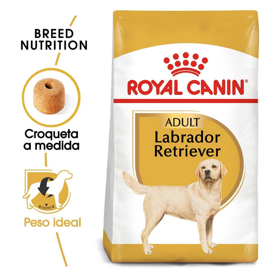 Perros Royal Canin | Royal Canin Labrador Retriever Adult Pienso Para Perro Adulto De Raza