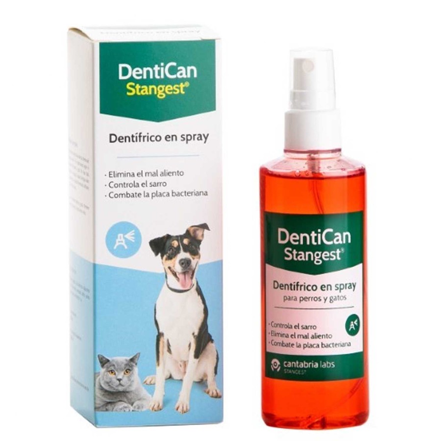 Perros Stangest | Dentican Spray Dental