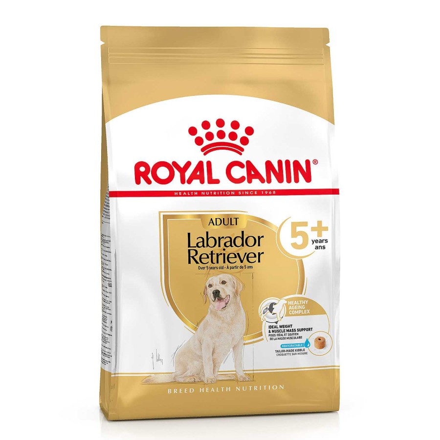 Perros Royal Canin | Royal Canin Labrador Retriever Ageing 5+ Pienso Para Perro De Edad Avanzada De Raza