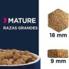 Perros Eukanuba | Eukanuba Alimento Seco Para Perros Mature De Raza Grande, Rico En Pollo Fresco