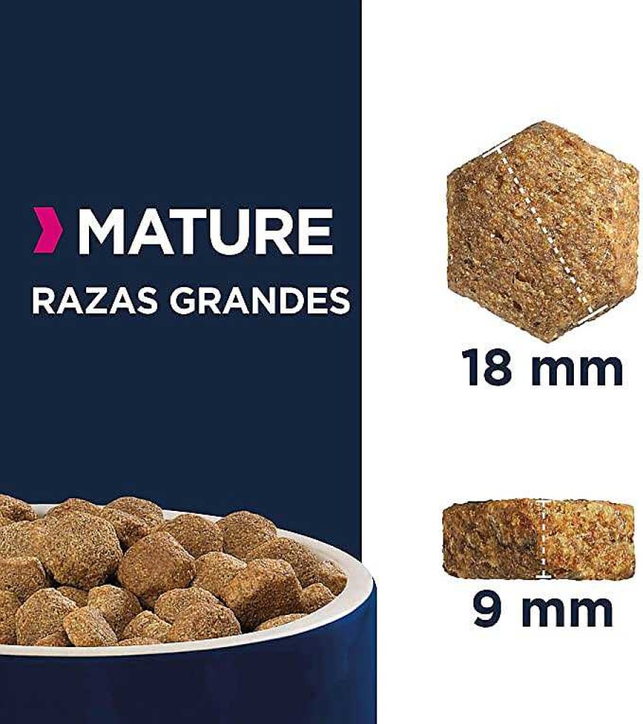 Perros Eukanuba | Eukanuba Alimento Seco Para Perros Mature De Raza Grande, Rico En Pollo Fresco