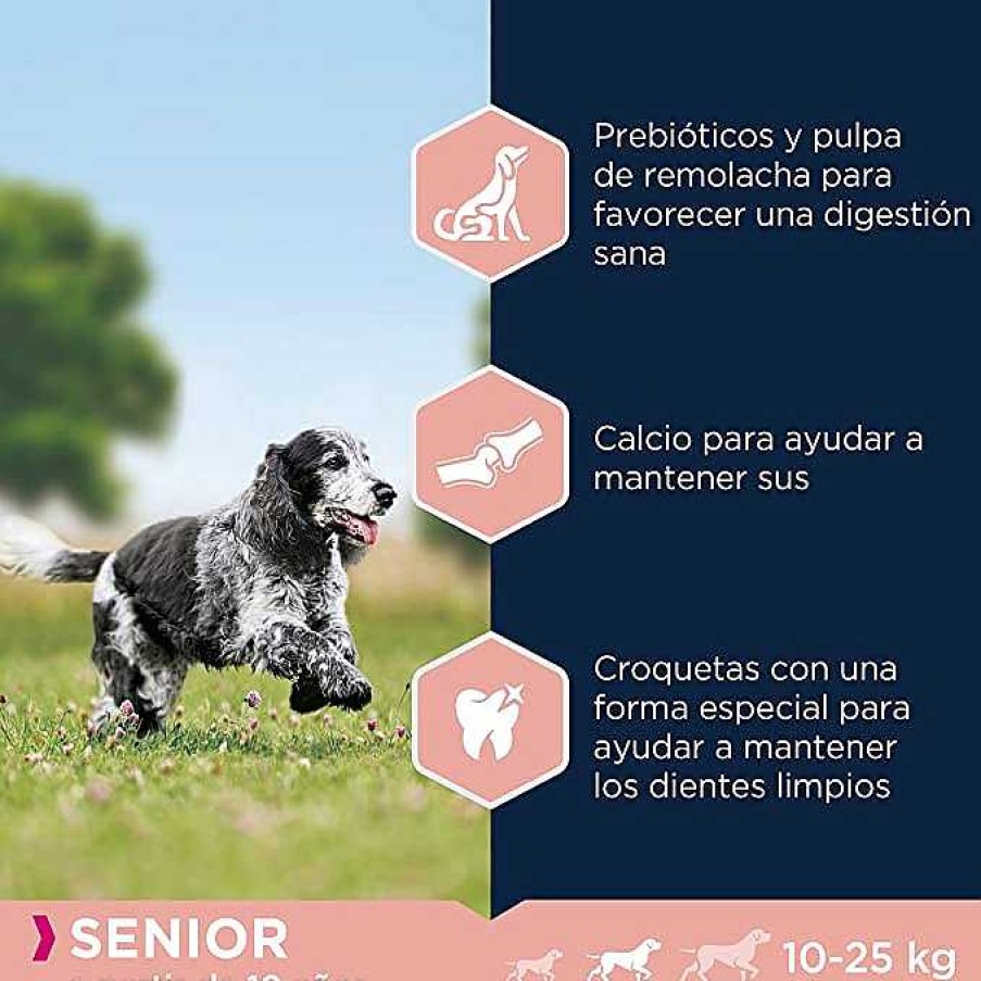 Perros Eukanuba | Eukanuba Alimento Seco Para Perros Senior De Raza Mediana, Rico En Pollo Fresco