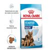 Perros Royal Canin | Royal Canin Maxi Starter Pienso Para Cachorros Y Madres Lactantes De Razas Tama O Grande