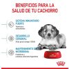 Perros Royal Canin | Royal Canin Medium Puppy Pienso Para Cachorros De Razas Tama O Mediana