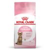 Gatos Royal Canin | Royal Canin Kitten Sterilised Pienso Para Gatitos Esterilizados