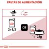 Gatos Royal Canin | Royal Canin Instinctive Comida H Meda En Gelatina Para Gato Adulto