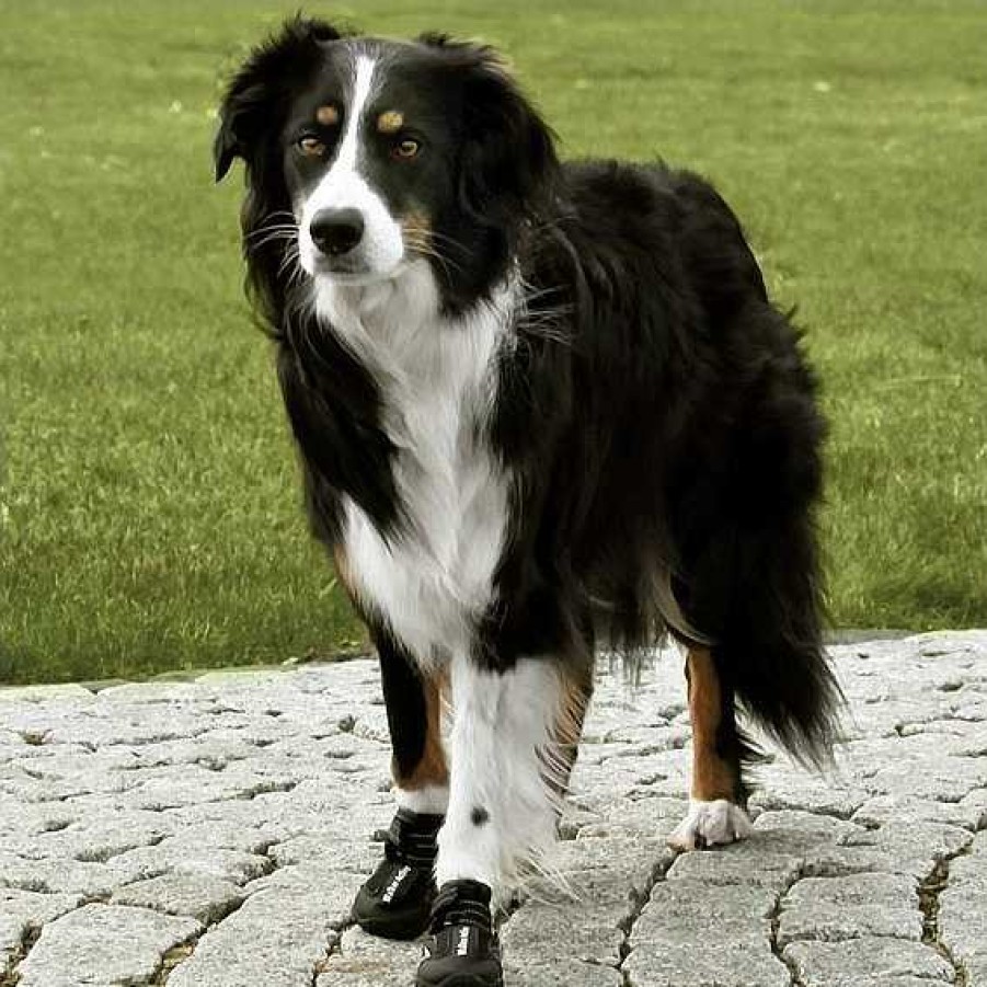 Perros Trixie | Botas Para Perros Walker Active