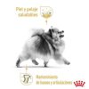 Perros Royal Canin | Royal Canin Pomeranian Adult Pienso Para Perro Adulto Pomerania