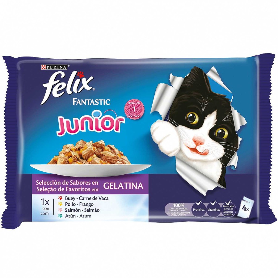 Gatos Felix | Purina Felix Fantastic Junior Grill En Gelatina