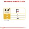 Perros Royal Canin | Royal Canin Yorkshire Comida H Meda Para Perro Adulto De Raza