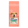 Perros Dog Chow | Dog Chow Light Pavo