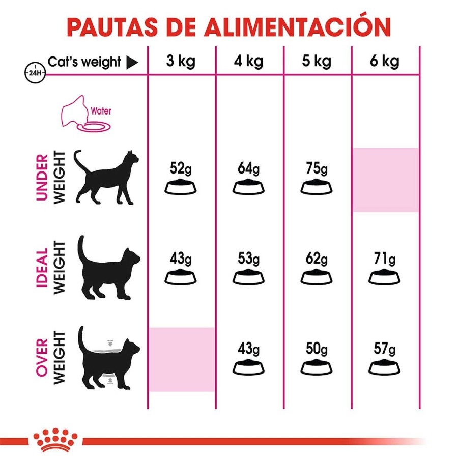 Gatos Royal Canin | Royal Canin Protein Exigent Pienso Para Gato Adulto Exigente