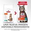 Gatos Hill´s | Hill'S Science Plan Adult Alimento Seco Gato Sabor At N