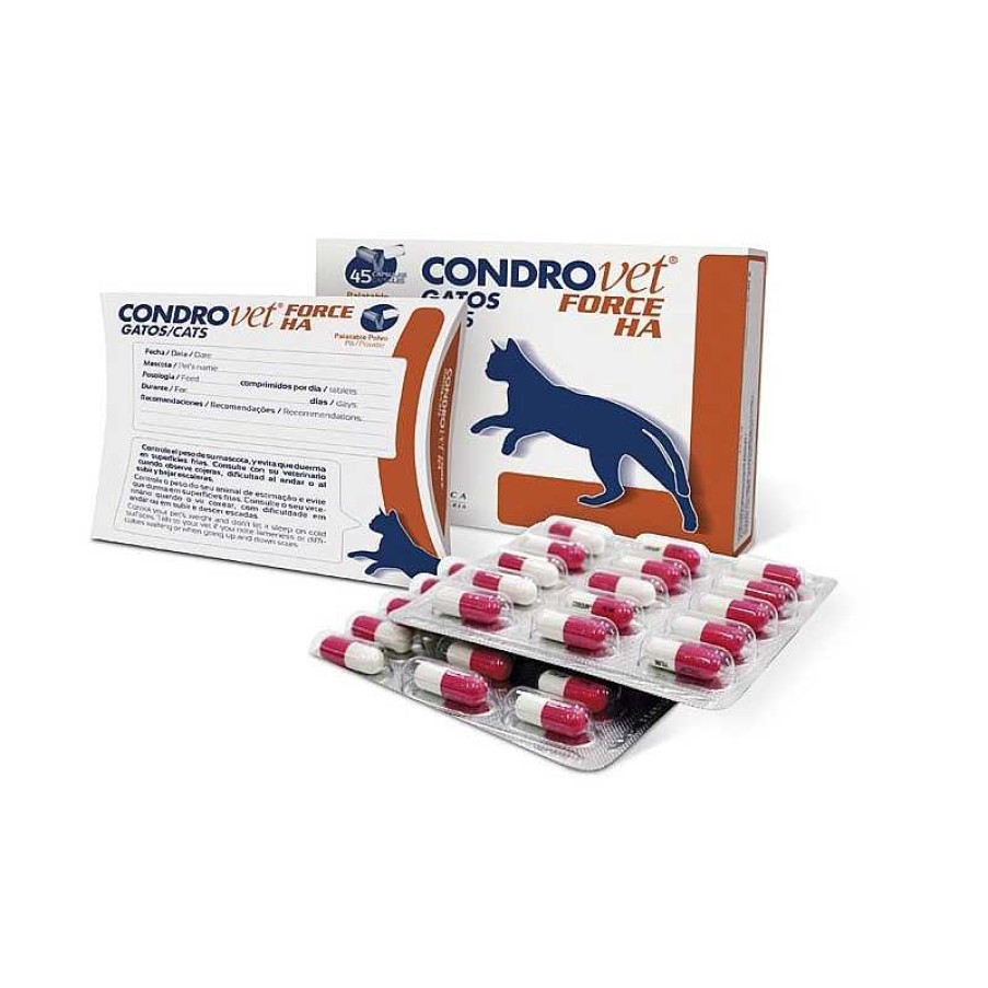 Gatos Bioiberica | Condrovet Force Ha Gatos