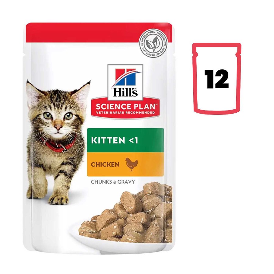 Gatos Hill´s | Hill'S Science Plan Alimento H Medo Gatitos Sabor Pollo - Bolsita