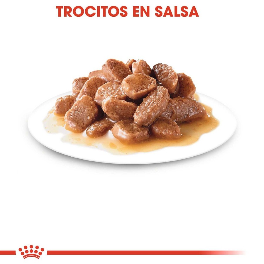 Gatos Royal Canin | Royal Canin Sterilised Comida H Meda En Salsa Para Gato Adulto Esterilizado