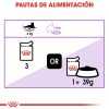 Gatos Royal Canin | Royal Canin Sterilised Comida H Meda En Pat Para Gato Adulto Esterilizado